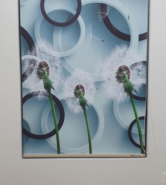 Rèm Cuốn Tranh phòng ngủ